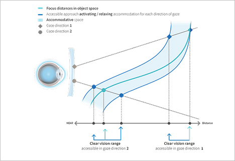 DRP2_GRAFICA_pasos_con-texto-1024x659