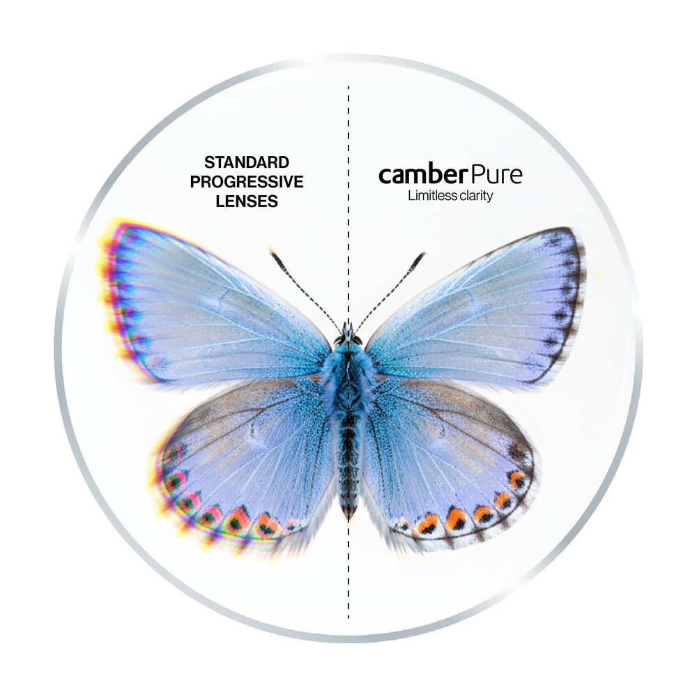 IOT illustration of a butterfly split down the middle: the left half, labeled standard progressive lenses, shows red, yellow and blue color fringes on the wing edges, and the right half, labeled CamberPure™, shows clean edges